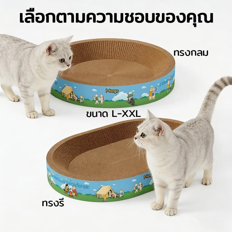ที่ลับเล็บแมวทรงอ่าง ที่ฝนเล็บ พร้อมแคทนิปในตัว ใช้เป็นที่นอนได้ ของเล่นแมว อ่างลับเล็บแมว ที่ฝนเล็บแมว ที่ขูดเล็บแมว รูปที่ 3