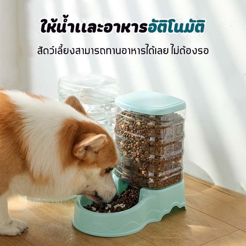 เครื่องให้อาหารแมวอัตโนมัติ ที่ให้อาหารอัตโนมัติ เครื่องให้อาหาร ชามข้าว ชามอาหาร หมา แมว อัตโนมัติ รูปที่ 2
