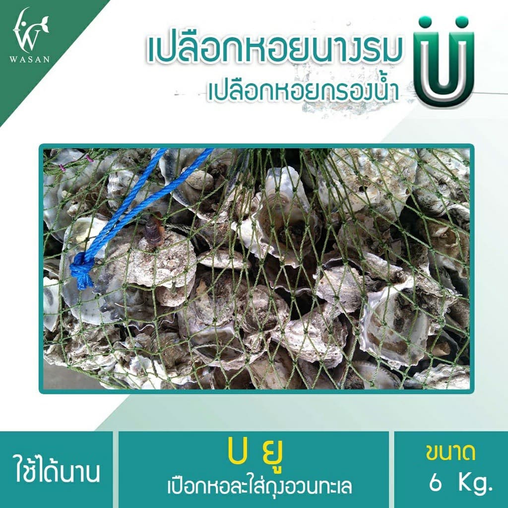 เปลือกหอยนางรม 6 kg.ใส่ถุงตาข่ายอวนเขียว พร้อมใช้งาน BY วสันต์อุปกรณ์ปลาสวยงาม รูปที่ 5