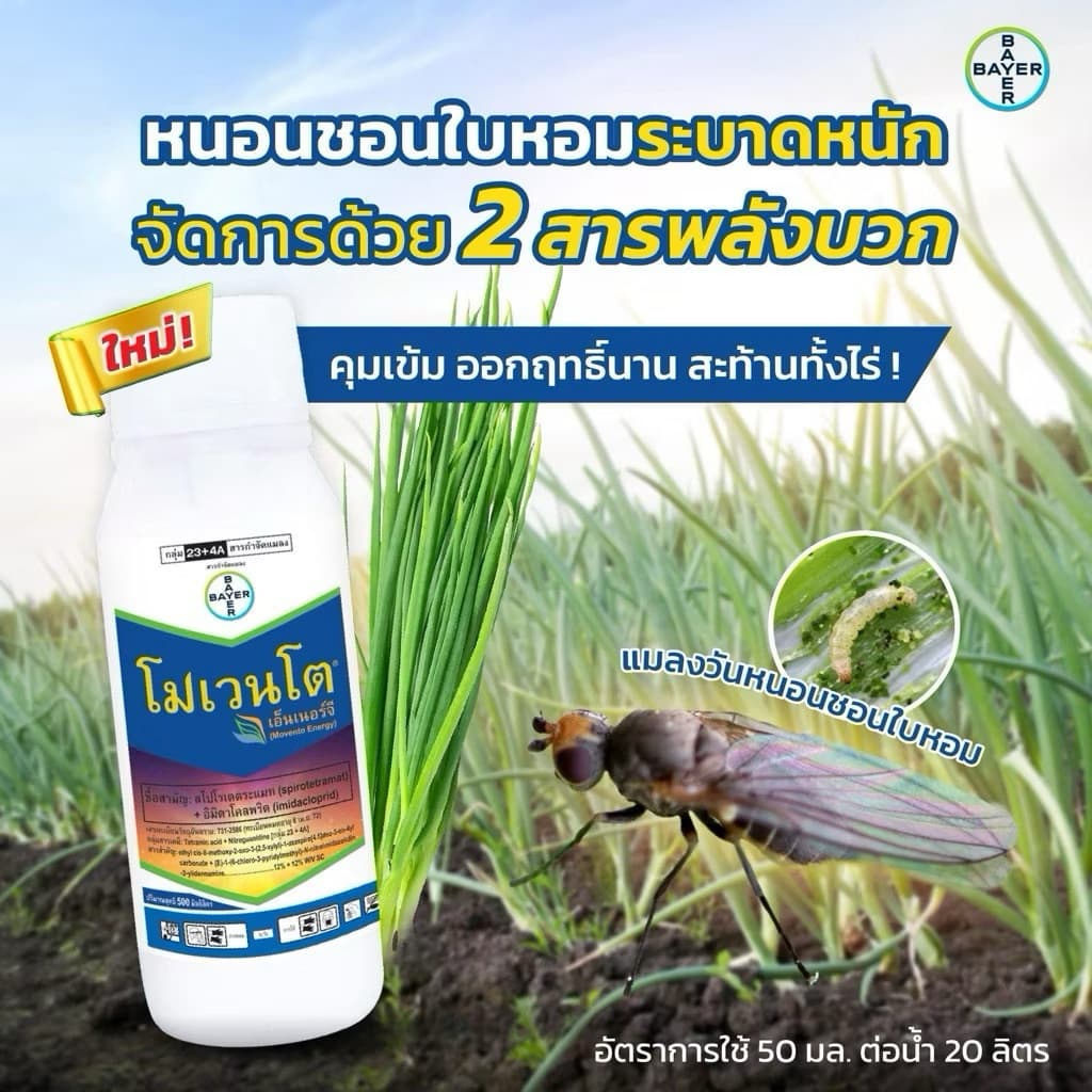 โมเวนโต เอ็นเนอร์จี้ กำจัดเพลี้ยไฟ เพลี้ยจั๊กจั่น ขนาด500ml. รูปที่ 6