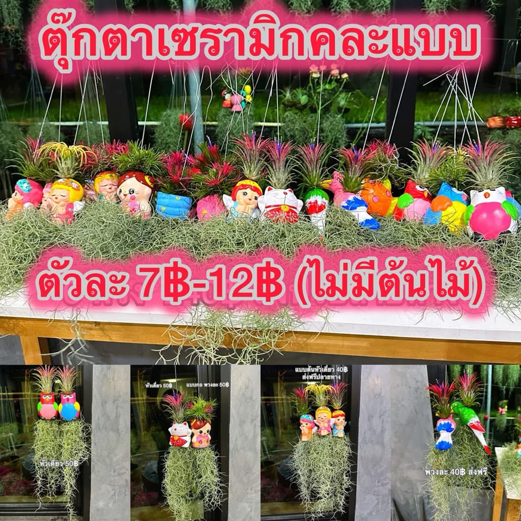 ตุ๊กตาเซรามิกราคาโล๊ะ รูปที่ 2