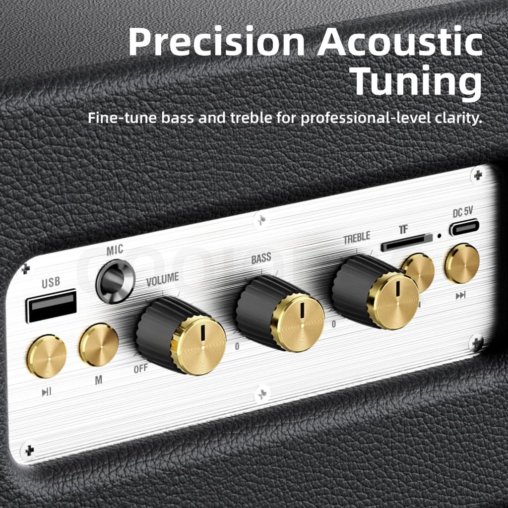 GOOJODOQ Wooden Karaoke Speaker TF/USB/AUX Supported Clear Full-range Sound Comes with Two Microphones รูปที่ 7