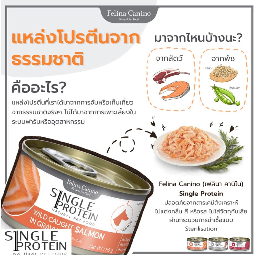 Felina Canino Premium Cat food อาหารเปียกแมว ขนาด70g รูปที่ 8
