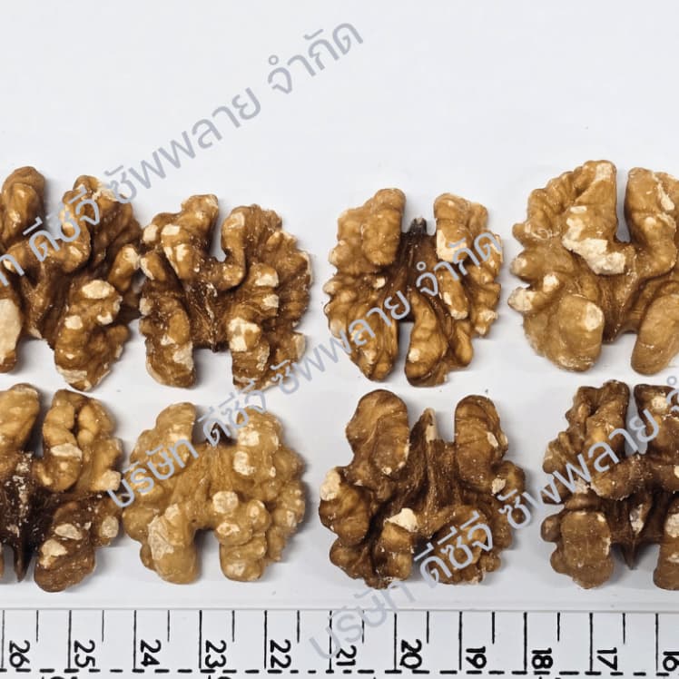 วอลนัท แบบดิบ ยกลัง 10 กิโลกรัม Raw Walnuts 10 kg วอนัท วอลนัท วอลนัต รูปที่ 5