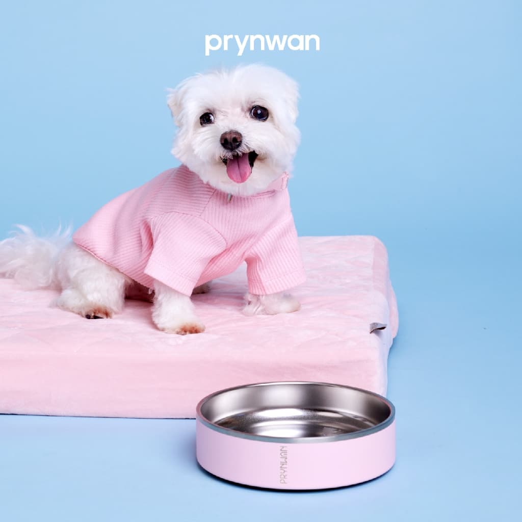PRYNWAN Pets - Double Wall Stainless Steel Bowl ชามอาหารสัตว์เลี้ยง รูปที่ 1