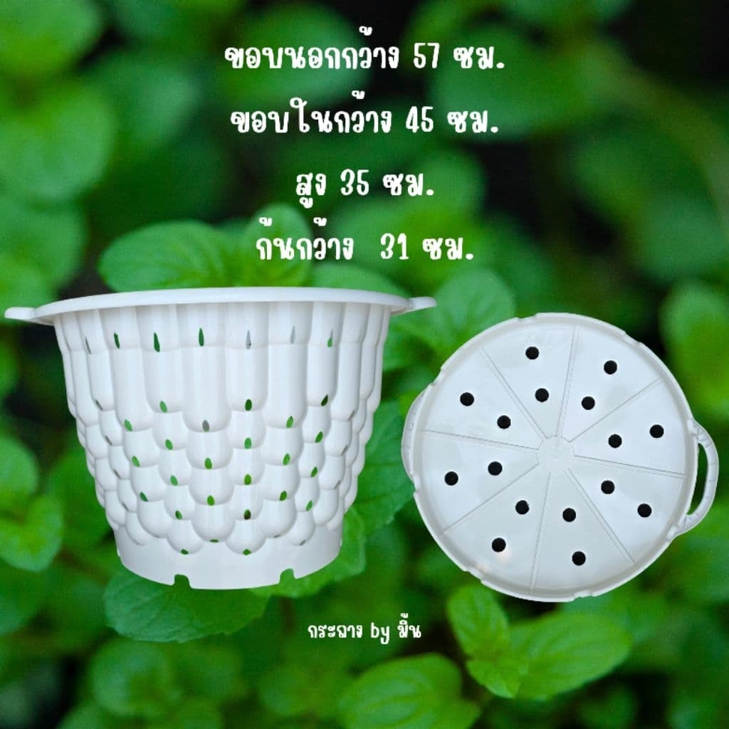 กระถางเร่งราก 20นิ้ว / กระถาง Air Pot มีหูจับ รูปที่ 2