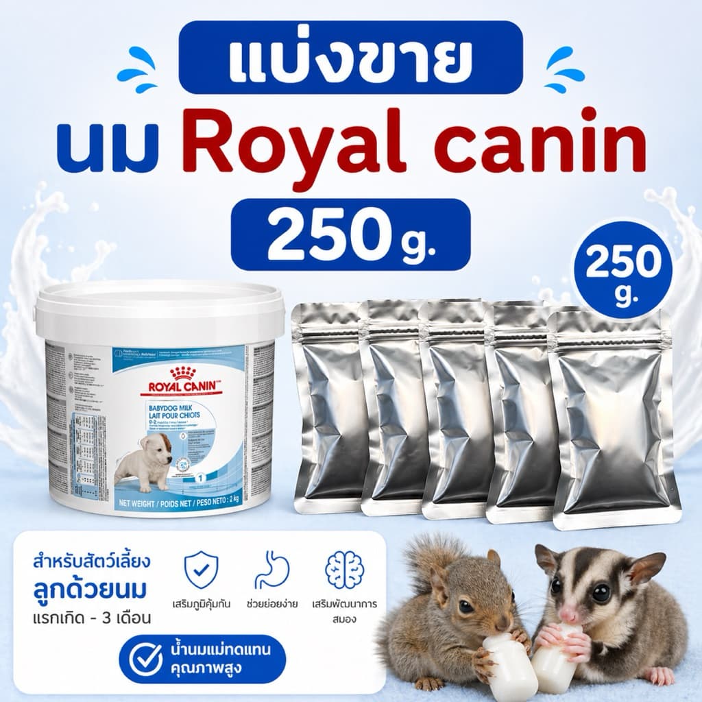 Royal canin baby dog milk 100 g. รอยัลคานิน นมผงทดแทน นมลูกสุนัข ชูการ์ไกลเดอร์ กระรอก แบ่งขาย 100 กรัม exp. 08/10/2026 รูปที่ 5