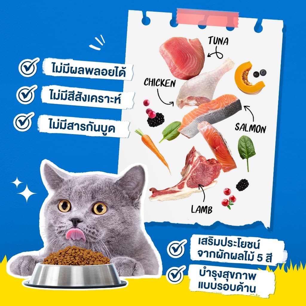 Pramy Carnivore อาหารเม็ดแมว เน้นเนื้อแท้ๆ ย่อยง่าย รูปที่ 2