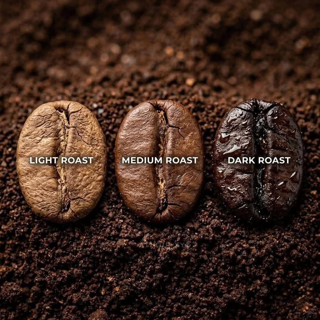 เมล็ดกาแฟคั่้ว Stone Fruit coffee คล้ายดอกไม้ รสชาติหวานฉ่ำ รูปที่ 8