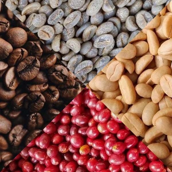 เมล็ดกาแฟคั่้ว Stone Fruit coffee คล้ายดอกไม้ รสชาติหวานฉ่ำ รูปที่ 5