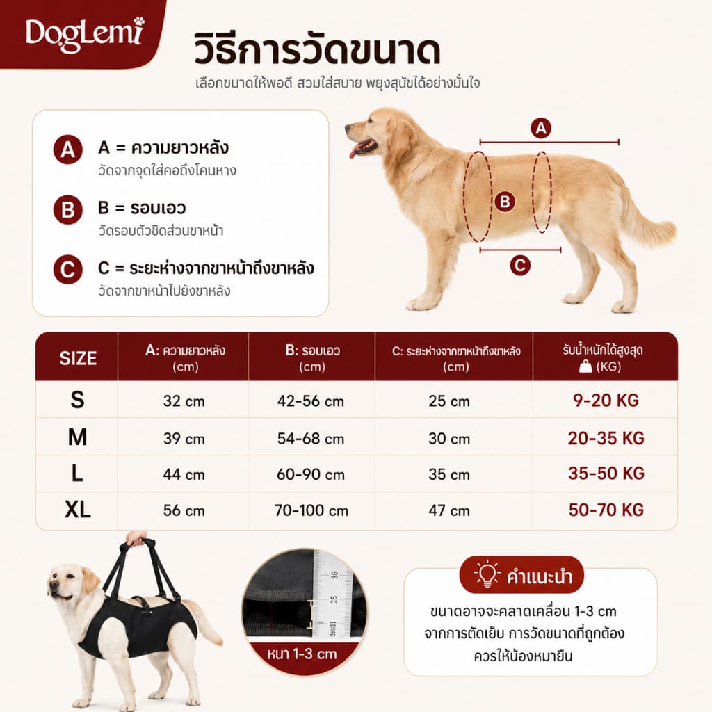 สายรัดพยุงเดินสุนัข เสื้อกั๊กช่วยเดินสุนัขสูงอายุ สำหรับสุนัขบาดเจ็บข้อสะโพกขาหลัง รูปที่ 5