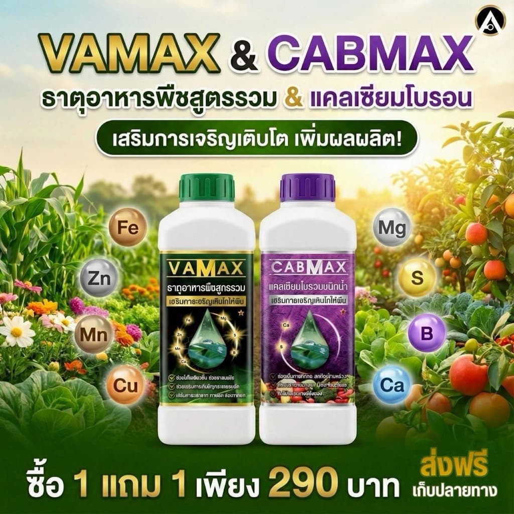 ปุ๋ย CABMAX และ VAMAX จัดโปรสุดคุ้มพิเศษ 1แถม1 ราคาพิเศษ290บาท ทั่วไทย รูปที่ 2