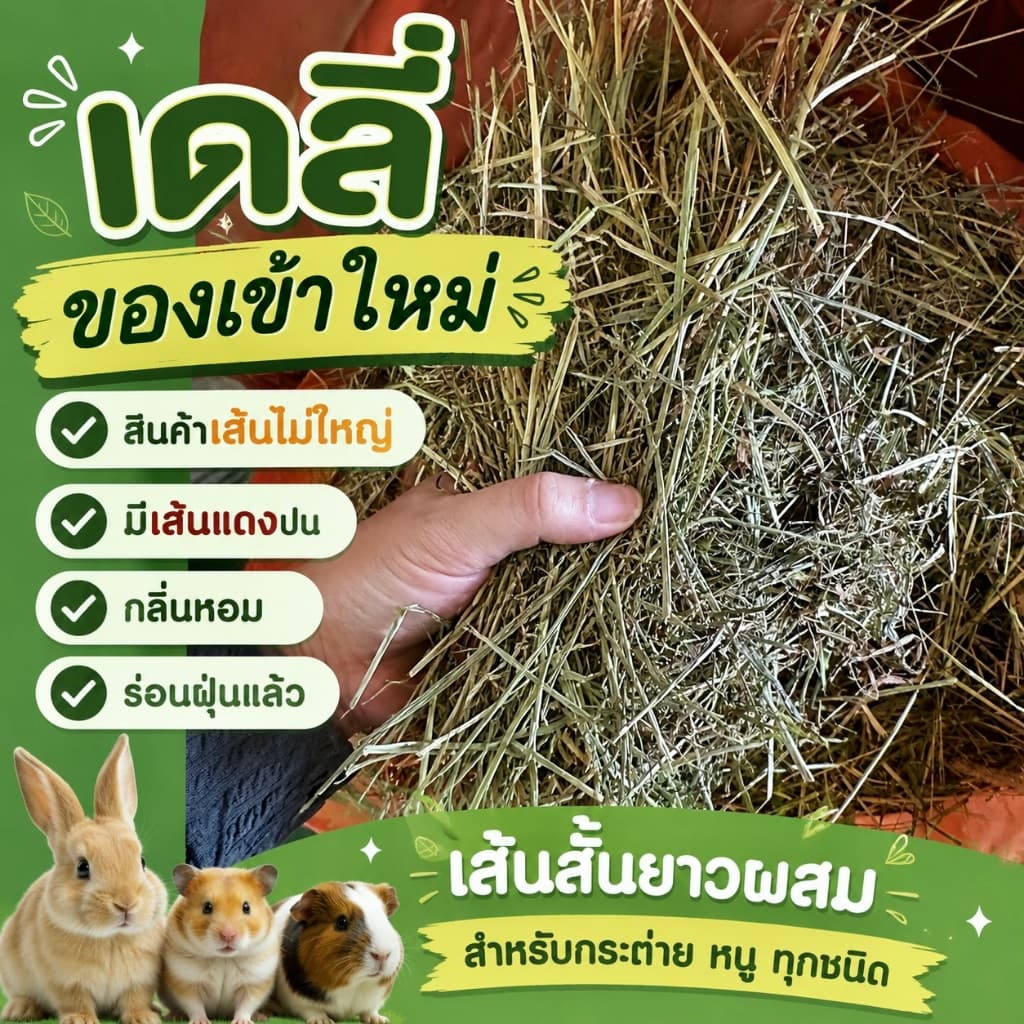 หญ้าเกรดนำเข้า ทิมโมธี 1กก Timothy คัท1 ใบเยอะ ดอกเยอะ ขายดี รูปที่ 9