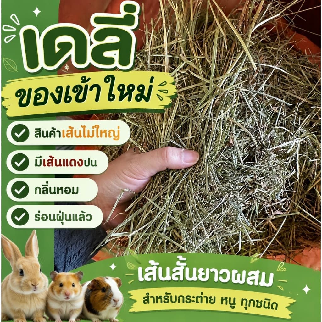best 1st มี7เกรดมีทุกแบบในไทย หญ้ากระต่ายทิมโมธี รูปที่ 9