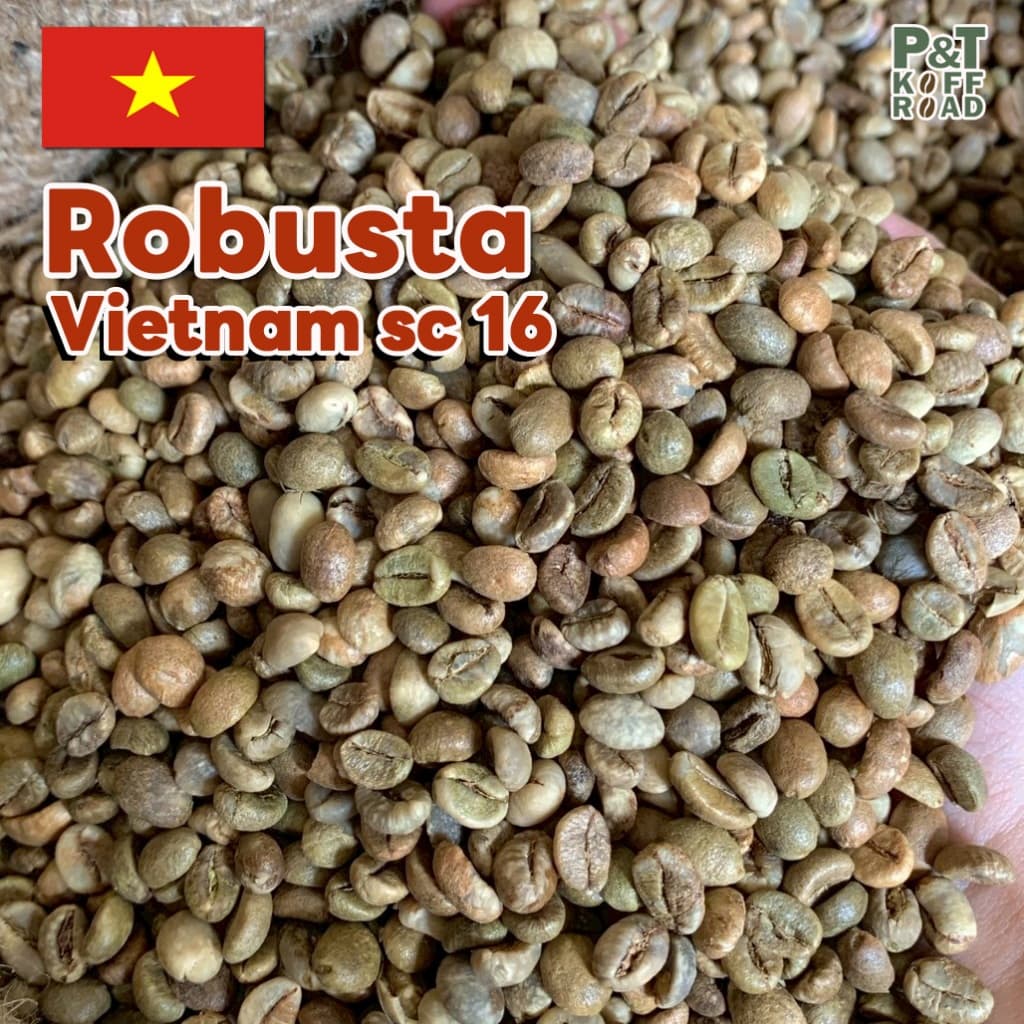 สารกาแฟโรบัสต้าเวียดนาม SC16-18 | Dry Process or Natural Process P&T KoffRoad รูปที่ 2