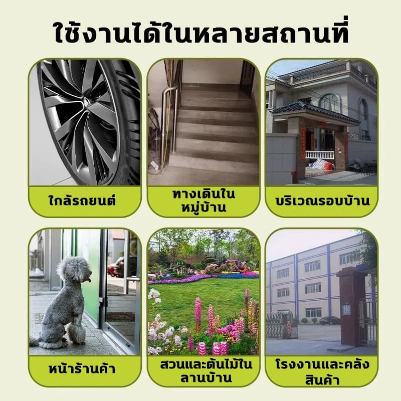 พอได้กลิ่นก็รีบหนีผงไล่หมา ไล่หมา ผงโรยไล่หมาแมว 500กรัม ป้องกันไล่ได้ยาวนาน แบบไม่ทำร้ายสัตว์ ป้องกันการถ่าย รูปที่ 7