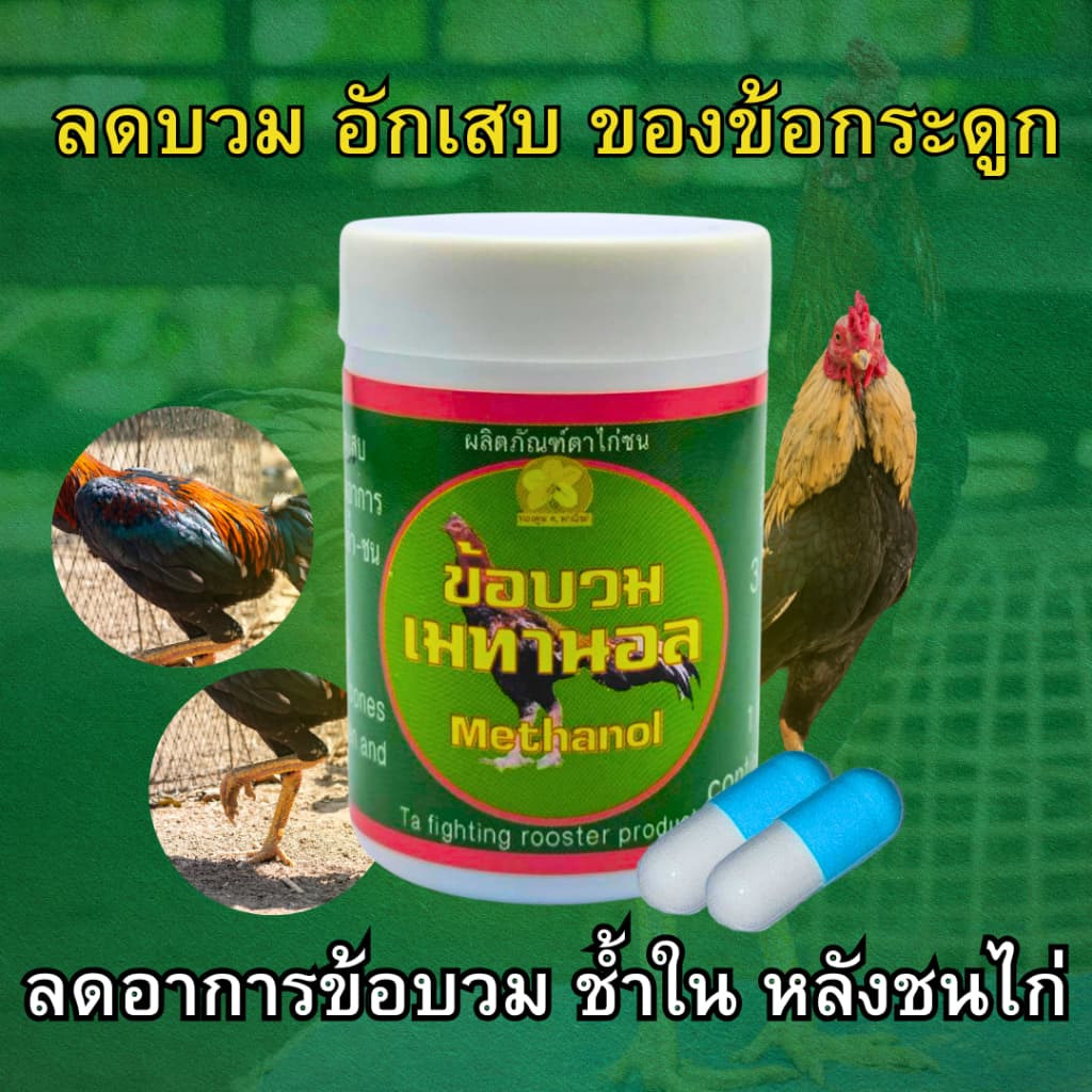 ดูแลไก่ที่มีปัญหาข้อบวม เอ็น กระดูก หลังชนไก่ เมทานอล ผลิตภัณฑ์ตาไก่ชน รูปที่ 1