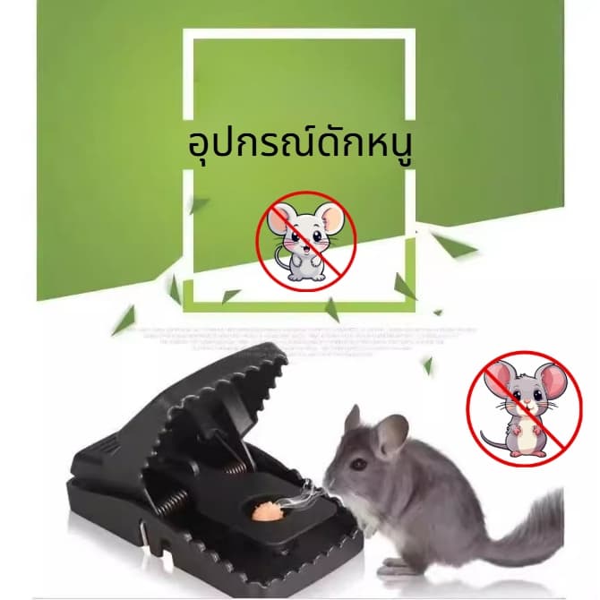 ที่ดักหนู กับดักหนู อุปกรณ์ดักหนู กับดักหนูบ้าน แบบสปริง เหยื่อดักหนู สารกำจัดหนู กาวดักหนู ยาเบื่อหนู รูปที่ 1