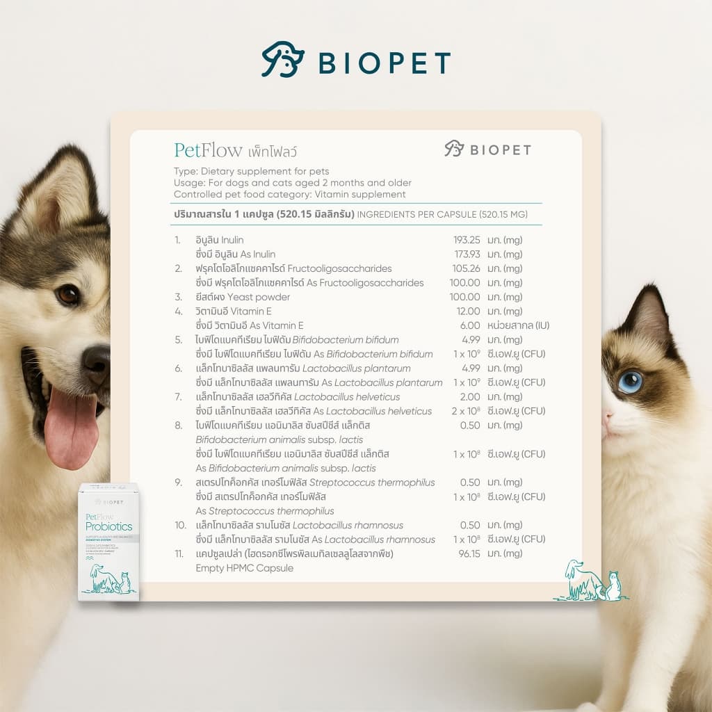 PetFlow โพรไบโอติกของสัตว์เลี้ยง สูตรดูแลระบบขับถ่าย Medical Grade Probiotic รูปที่ 9