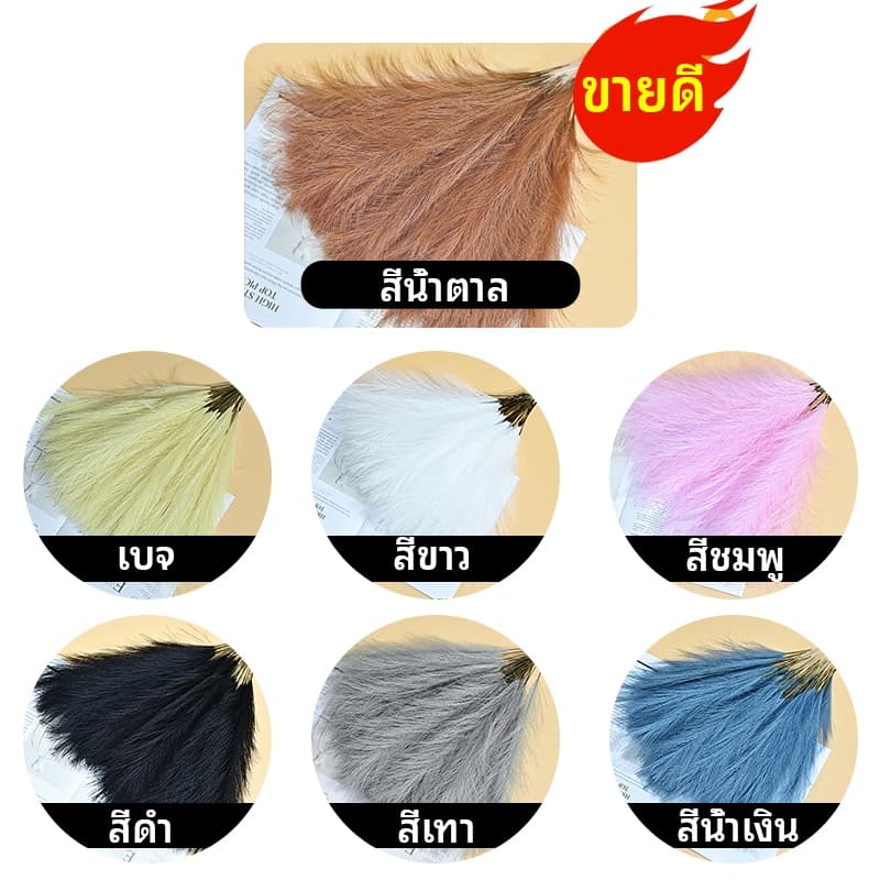 หญ้าแพมพาสเทียม 12 ชิ้น ดอกไม้ปลอมฟูนุ่ม ตกแต่งสไตล์โบฮีเมียน ต้นกก ตกแต่งคริสต์มาส ของตกแต่งบ้านจากแพมพาส รูปที่ 2