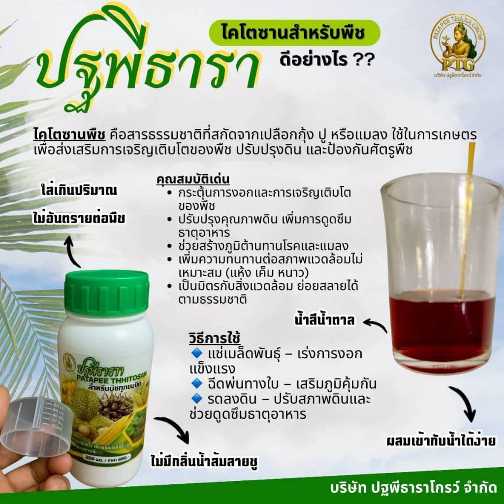 ชุดคู่หูมหัศจรรย์ปฐพีธารา สูตรดั้งเดิม รูปที่ 5