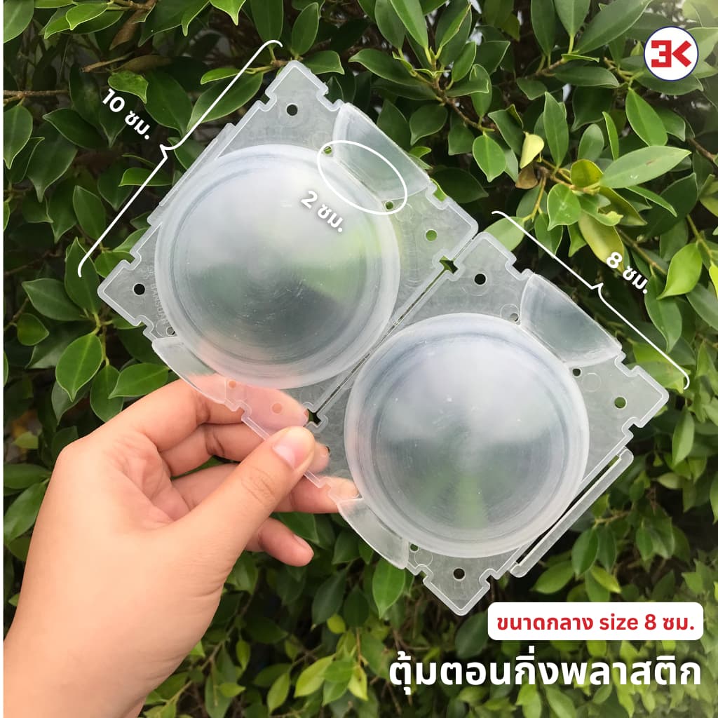 ตุ้มตอนกิ่งพลาสติก ทนแดดทนฝน มี2 ขนาด 5 cm. และ 8 cm. มี 3 สีให้เลือก รูปที่ 4