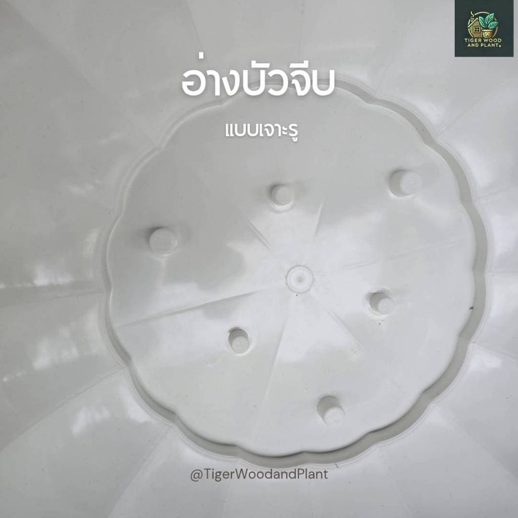กระถางอ่างบัวจีบ อ่างเลี้ยงปลา อ่างบัว ขนาดปากกระถาง 21 นิ้ว รูปที่ 2