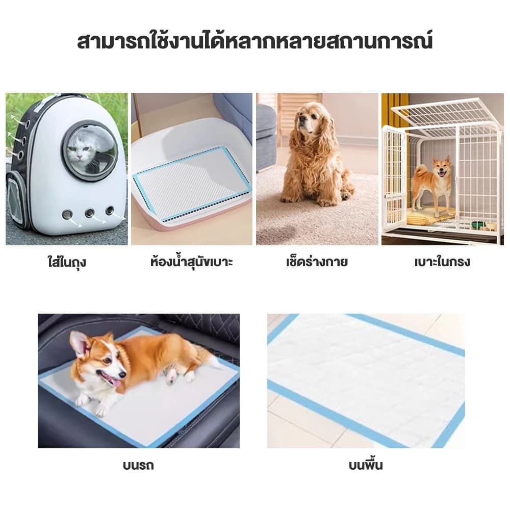 PMT แผ่นรองฉี่สุนัข ซึมซับไดีดี แผ่นรองฉี่ ผ้ารองฉี่สุนัข แผ่นรองฉี่แมว แผ่นรองซับ ป้องกันกลิ่นและต้านเชื้อแบคท รูปที่ 2