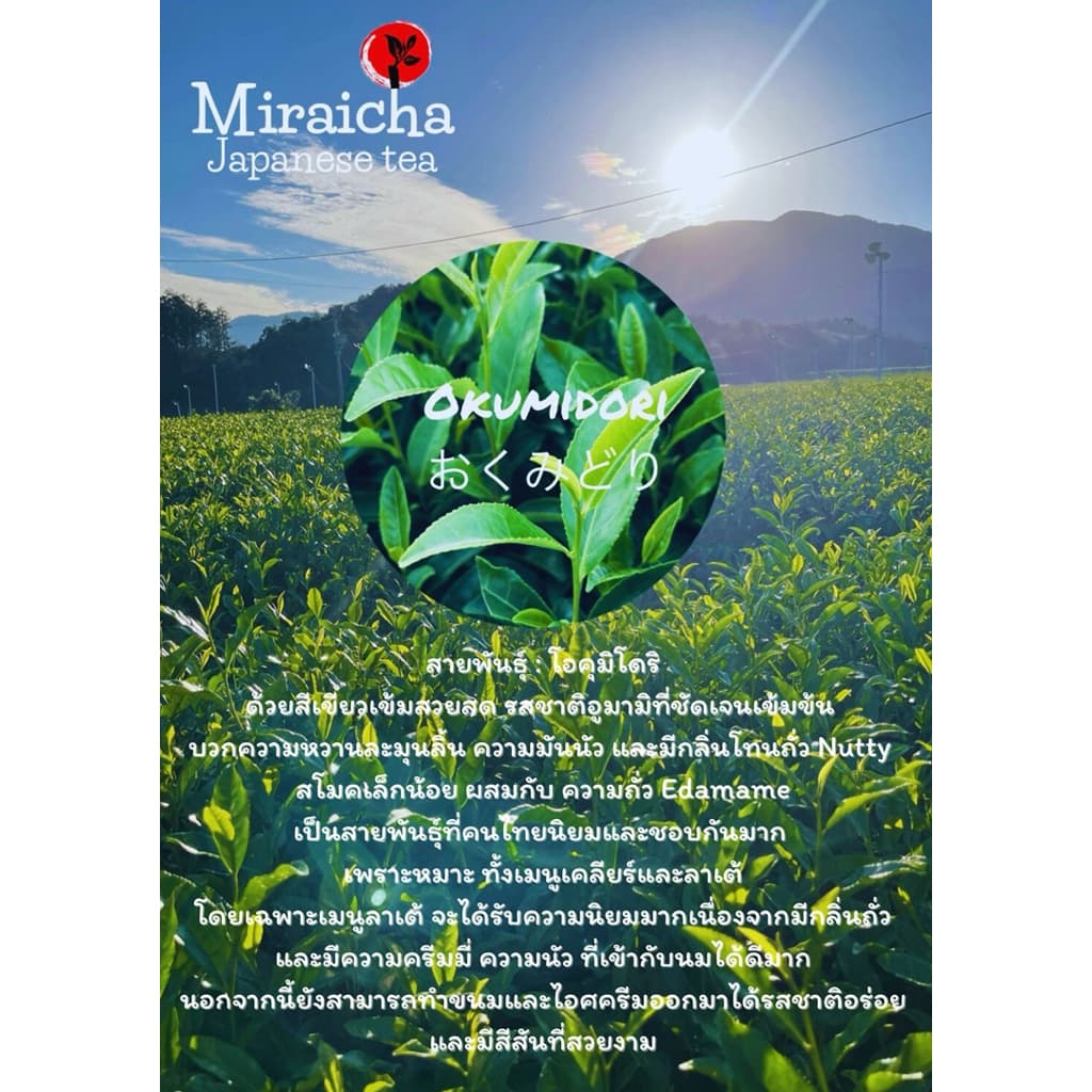 &พรีส่ง 𝐌𝐢𝐫𝐚𝐢𝐜𝐡𝐚 𝐎𝐤𝐮𝐦𝐢𝐝𝐨𝐫𝐢 𝐇𝐨𝐧𝐞𝐲 𝐓𝐨𝐚𝐬𝐭 Ceremonail Matcha from Ise cha-Mie รูปที่ 9