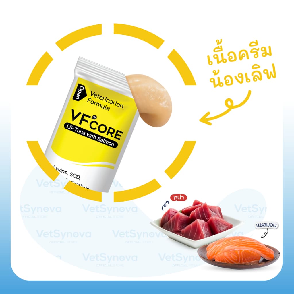 Cat Healthy Everyday VFcore LS x10 ซอง + Feline Vitality x10 ซอง รูปที่ 2