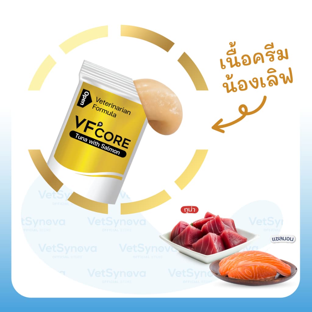 Cat Healthy Everyday VFcore LS x10 ซอง + Feline Vitality x10 ซอง รูปที่ 3