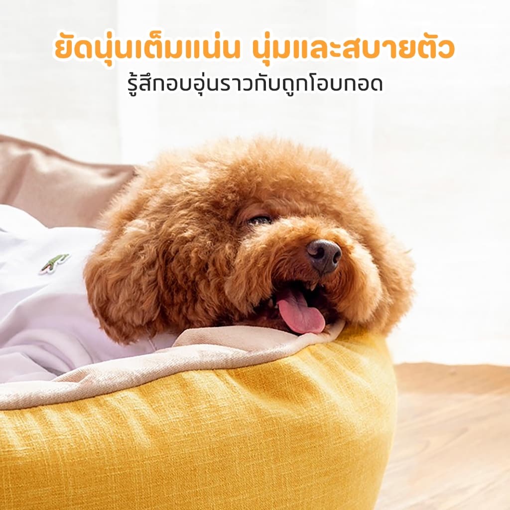 ที่นอนสุนัขสัตว์เลี้ยง ที่นอนหนา เบาะผ้าฝ้ายแท้ ที่นอนสัตว์เลี้ยงผ้าฝ้ายแท้ ขนสัตว์สำหรับสุนัขและแมว ที่นอนสัตว์เลี้ยง รูปที่ 8