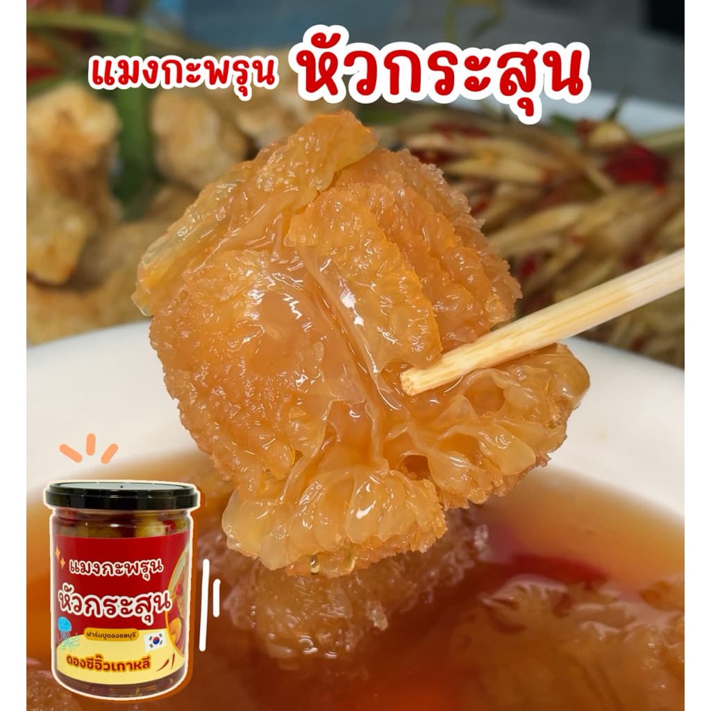 โปรแมงกะพรุนหัวกระสุนล้วนๆ4กระปุก กรอบเนื้อเจลลี่ รูปที่ 3