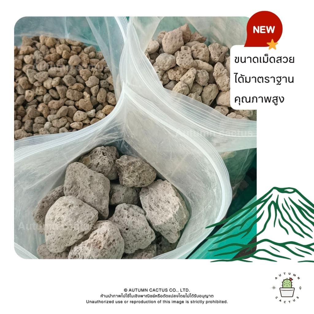 หินภูเขาไฟ Pumice Stone รองก้นกระถาง ผสมดินปลูก หินทำถุงหอม ถุงใหญ่ ขนาด 4ลิตร เบอร์00 เบอร์01 เบอร์02 XL - XXL รูปที่ 4