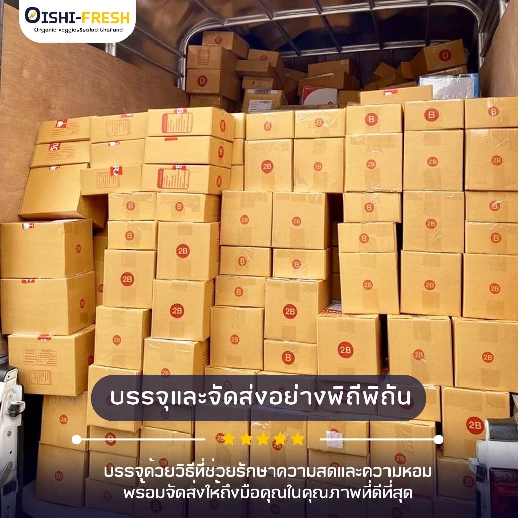 Oishi-Fresh อันดับ 1 มันหวานญี่ปุ่นเบนิฮารุกะ 5 ยี่ห้อเผาพร้อมทาน เนื้อเหลือง หอม หวาน 1 กก.4-6 หัว ก่อนเผา จัดส่ง 24ชม. รูปที่ 5