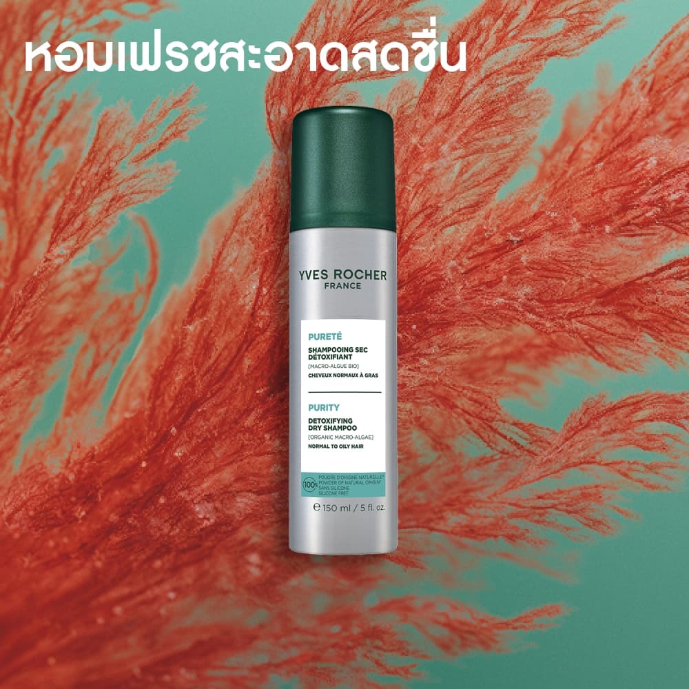 อีฟ โรเช Yves Roche Purity Detoxifying Dry Shampoo 150ml. ดรายแชมพูสำหรับผมมัน ไม่ทิ้งคราบขาว รูปที่ 5