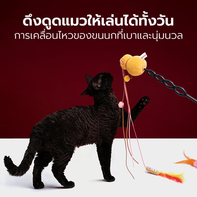 Petstar ไม้ตกแมว ของเล่นแมว Cat teaser wand ของเล่นสุนัข น้ำหนักเบา ช่วยกระตุ้นความสนใจ รูปที่ 5