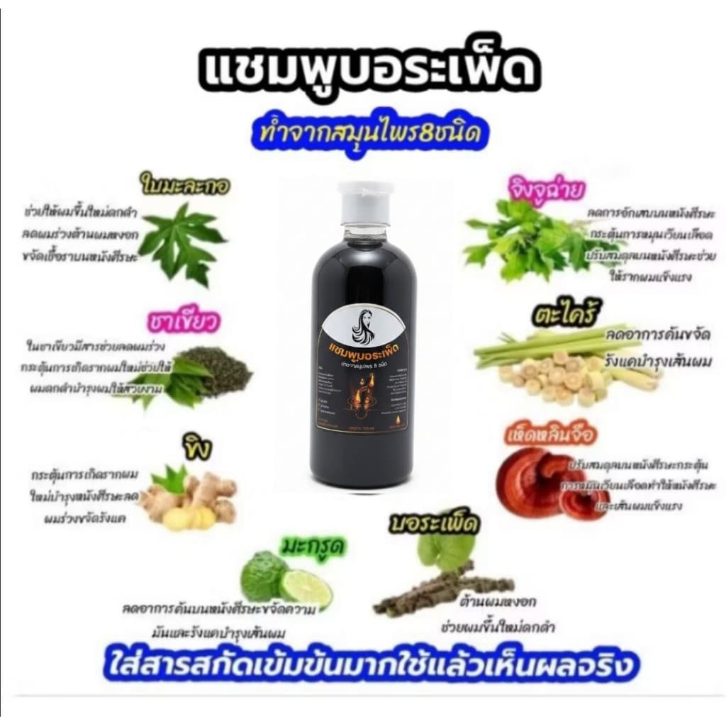 แชมพูหยุดผมร่วง ลดผมร่วง แชมพูสมุนไพรสด กระตุ้นการเกิดรากผมใหม่ฟื้นฟูบำรุงหนังศีรษะและรากผมให้แข็งแรง รูปที่ 2