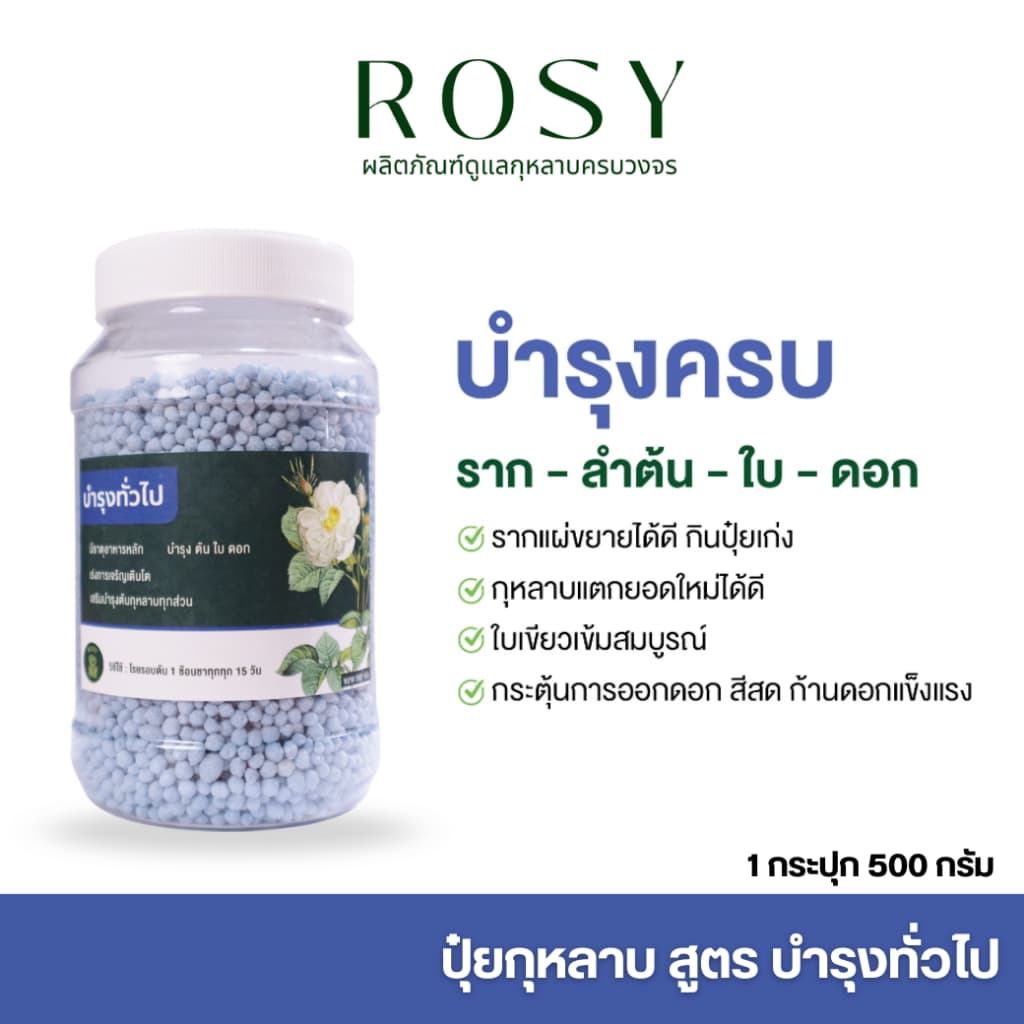 Rosy ปุ๋ยกุหลาบ บำรุงกุหลาบครบทุกส่วนของต้น ต้นกุหลาบจะได้รับสารอาหารครบถ้วน รูปที่ 1