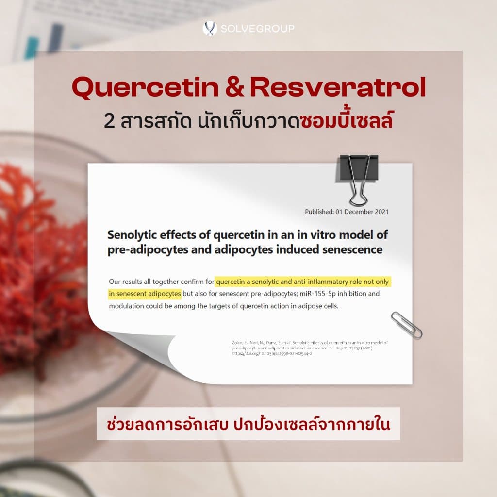 ASTAXANTHIN 6mg plus CoQ10 + Quercetin และ Ferti W ลดริ้วรอย ทุบแดด เทิร์นผิวเด็ก คงความสาว รูปที่ 5