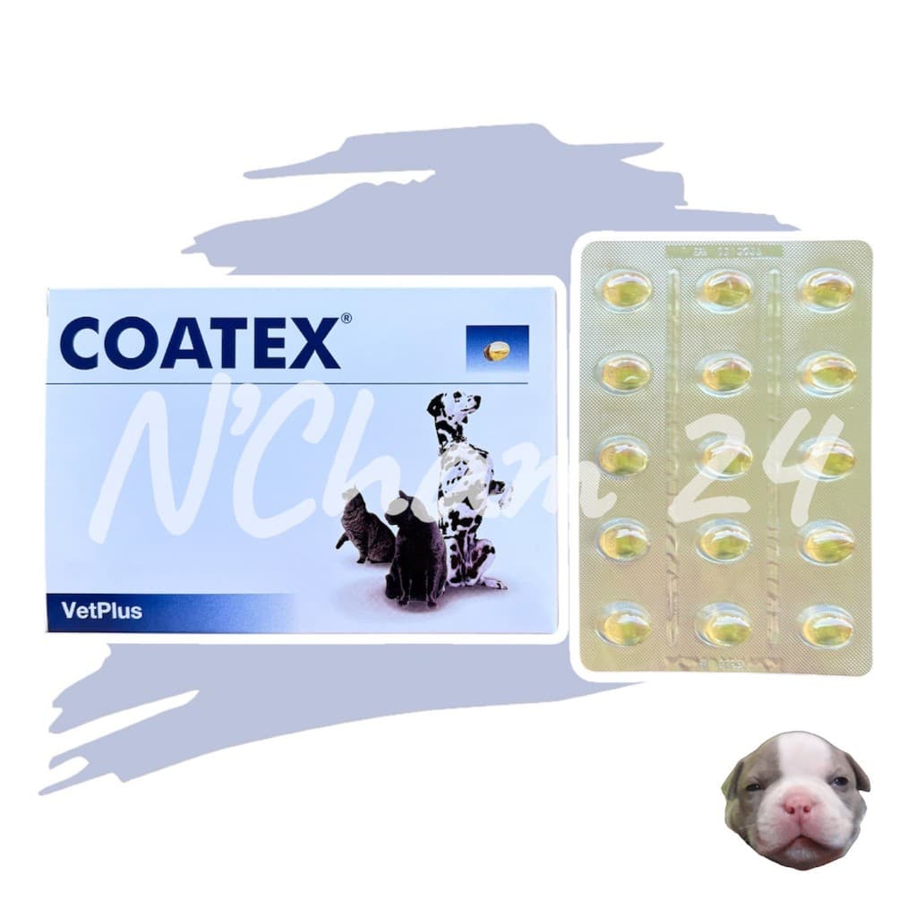 Coatex แบ่งขาย 15 caps อาหารเสริม บำรุงขนและผิว แบบเม็ด สำหรับสุนัข รูปที่ 1