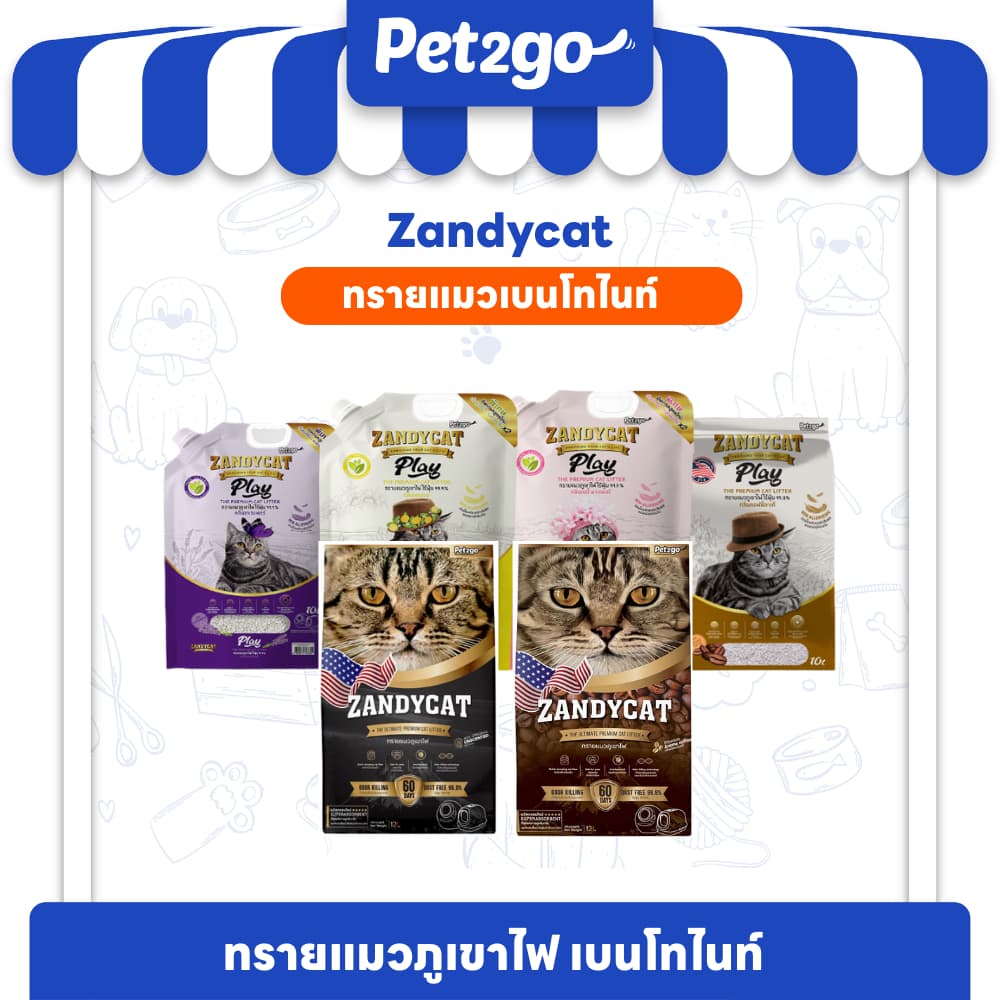 ทรายแมวภูเขาไฟ ZANDYCAT ทรายเบนโทไนต์ มีขนาด 6,10,12 ลิตร ทรายภูเขาพรีเมียม ไร้ฝุ่น เก็บกลิ่นดี จับตัวเป็นก้อนแน่น รูปที่ 1