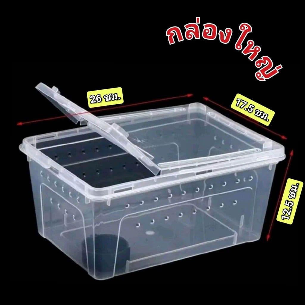 เซ็ตเลี้ยงหอยทาก และอุปกรณ์สำหรับเลี้ยงหอยทาก รูปที่ 3