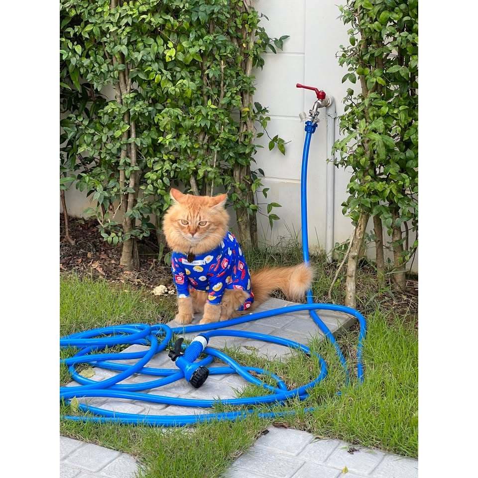ชุดเก็บขน wonder dog เสื้อสุนัข เสื้อแมว ชุดกันขนร่วงสุนัข ชุดสัตว์เลี้ยง โทนน้ำเงิน รูปที่ 6