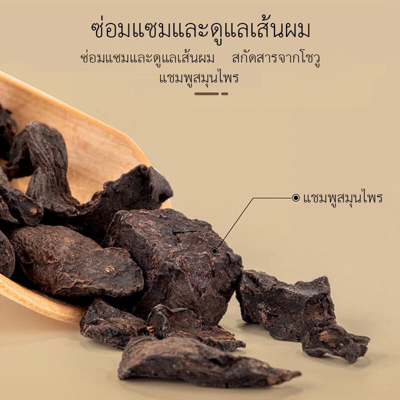 แชมพูโสมสกัดจากพืชธรรมชาติ safemild ช่วยบำรุงเส้นผมอย่างอ่อนโยนและปรับปรุงผมหงอกและผมร่วง รูปที่ 5