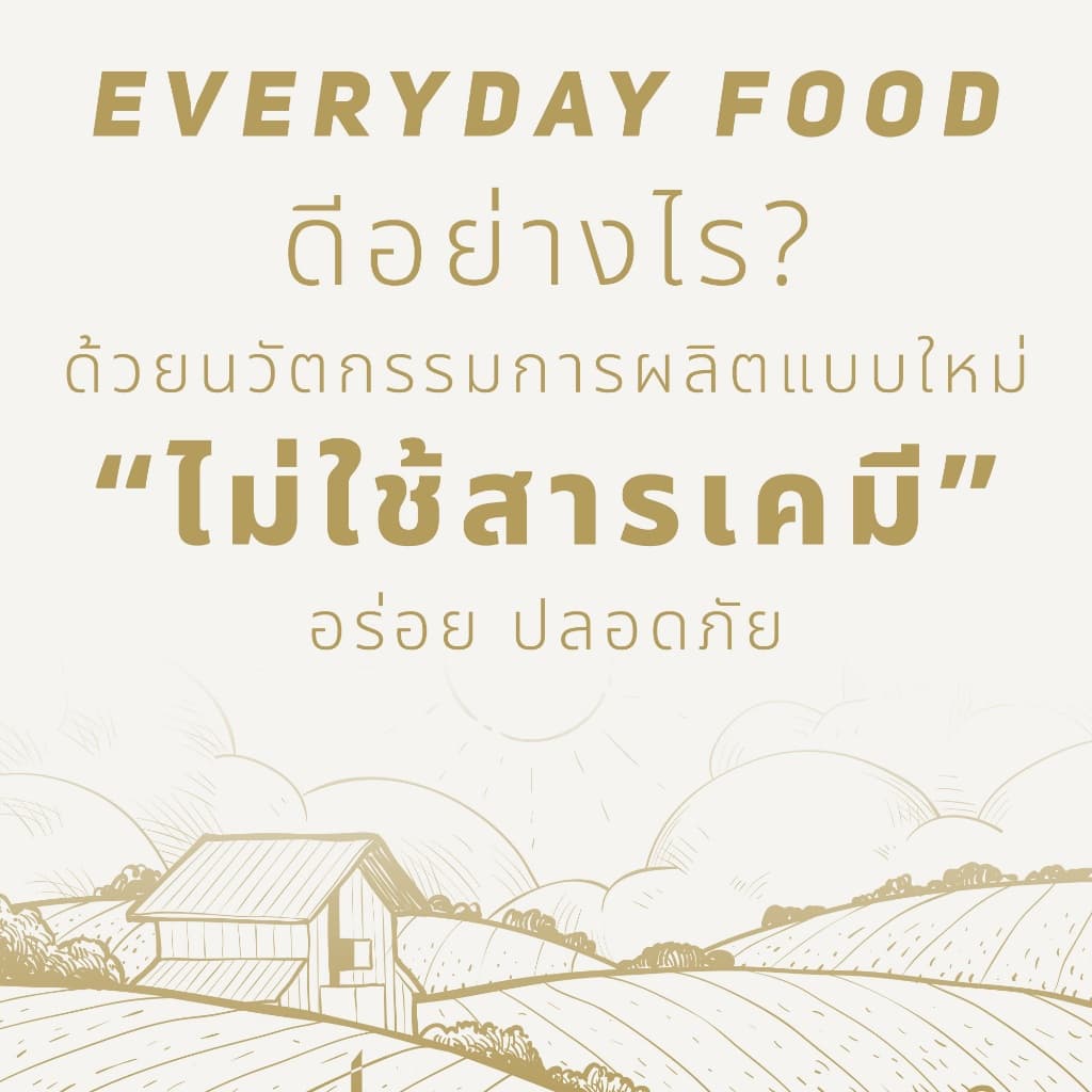 ถั่วเหลืองผ่าซีก ขนาด 500 กรัม / 1 กิโลกรัม | Hulled Split Soya Beans รูปที่ 7