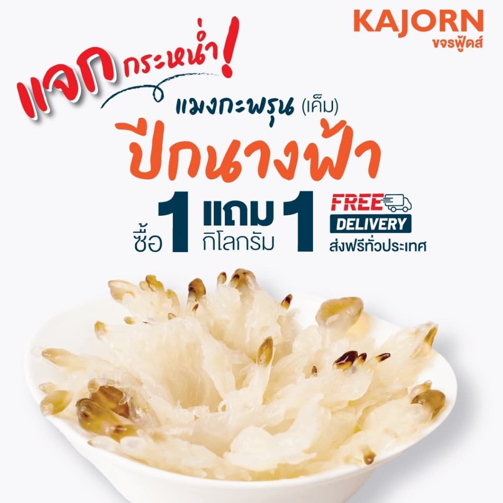 ขาแมงกะพรุน KAJORN ขจรฟู้ดส์ รูปที่ 1