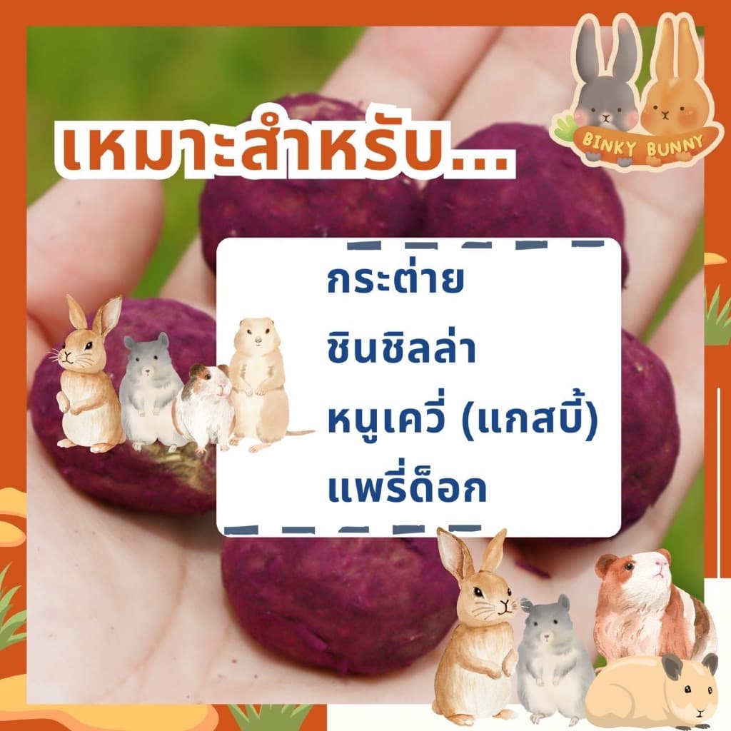 Binky Bunny House ช็อคบอลหญ้าทิโมธี ขนมอบแห้งลับฟันสำหรับสัตว์ฟันแทะ 10 ลูก รูปที่ 6