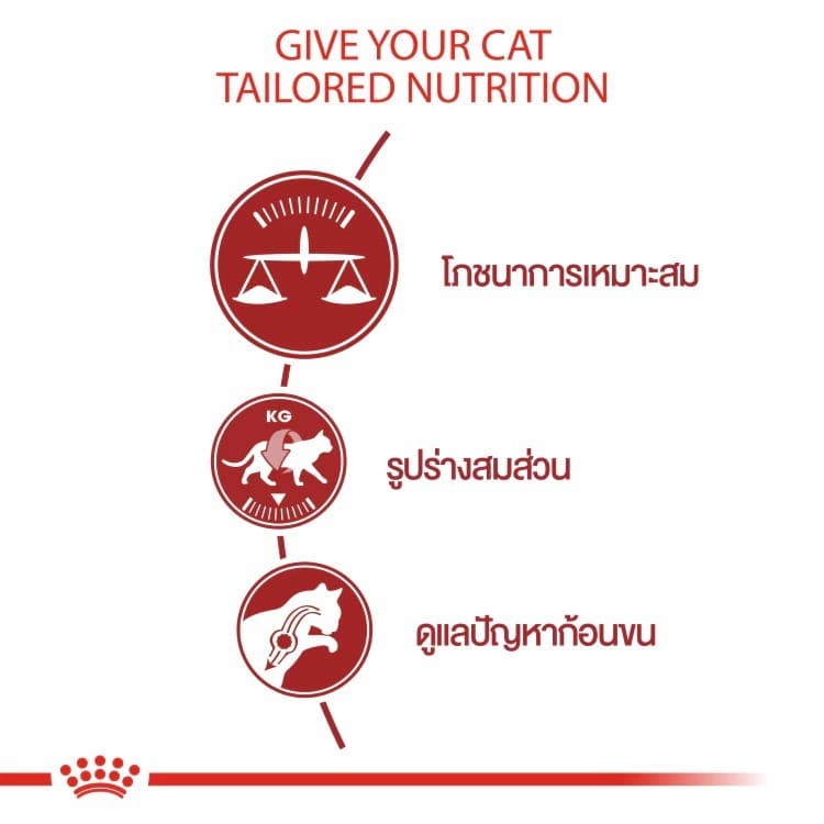 โปรแรง 6.6 เท่านั้น ! Royal Canin Fit โรยัล คานิน ฟิต สำหรับแมวโต เพื่อรูปร่างสมส่วน อายุ 1 ปีขึ้นไป ขนาด 4 kg. รูปที่ 5