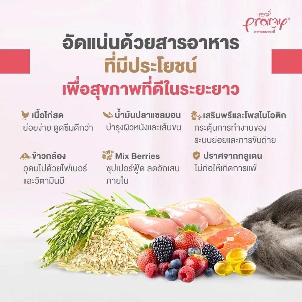 Pramy Feline Solutions พรามี่ แคร์ ขนาด 5.5 Kg. อาหารแมวสูตรเฉพาะทาง รูปที่ 7